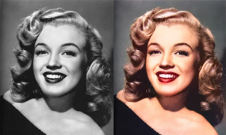 aipicturecolorizer